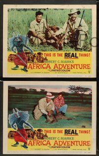 9r038 AFRICA ADVENTURE 8 LCs '54 this is the REAL Africa, the living jungle, wild animal images!