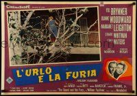 9t244 SOUND & THE FURY set of 11 Italian 20x28 pbustas '59 Yul Brynner with hair & Woodward, Ritt!
