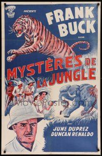 9t008 TIGER FANGS Moroccan '40s Frank Buck, great art of big cat & elephants!