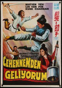 9t347 CEHENNEMDEN GELIYORUM Turkish '80s wild, completely different kung fu martial arts artwork!