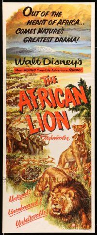 9w011 AFRICAN LION insert '55 Walt Disney jungle safari documentary, cool animal artwork!