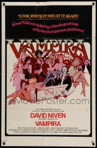 9y630 OLD DRACULA int'l 1sh '75 Vampira, David Niven as the Count, Clive Donner, sexy horror art!