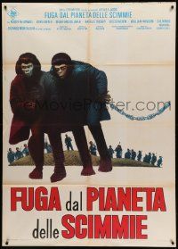 9z318 ESCAPE FROM THE PLANET OF THE APES Italian 1p '71 different image of chained primates!