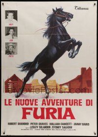 9z374 LE NUOVE AVVENTURE DI FURIA Italian 1p '77 full-length art of rearing black stallion!