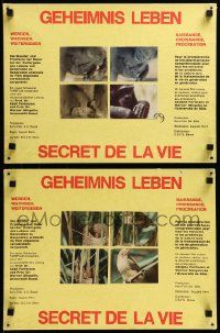 9z065 GEHEIMNIS LEBEN 5 Swiss LCs '66 all kinds of animals procreating, directed by August Kern!