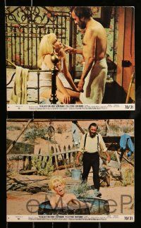 1a047 BALLAD OF CABLE HOGUE 8 8x10 mini LCs '70 Sam Peckinpah, Jason Robards, sexy Stella Stevens!