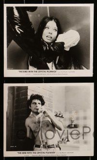 1a542 BIRD WITH THE CRYSTAL PLUMAGE 8 from 7.25x9.5 to 8x10 stills '70 Dario Argento, giallo horror