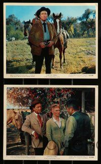 1a007 CATTLE KING 12 color 8x10 stills '63 western cowboy Robert Taylor, Joan Caulfield!