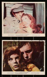 1a135 COLLECTOR 6 color 8x10 stills '65 great images of Terence Stamp & sexy Samantha Eggar!