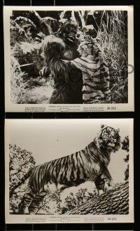 1a371 FORBIDDEN JUNGLE 14 8x10 stills '50 awesome tiger, chimp, lion images and wackiest creature!