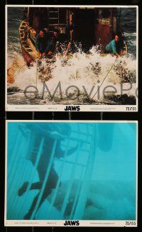 1a183 JAWS 4 8x10 mini LCs '75 Spielberg classic, Roy Scheider, Robert Shaw, Richard Dreyfuss!
