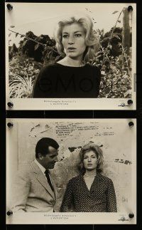 1a693 L'AVVENTURA 6 8x10 stills '61 Michelangelo Antonioni, sexy Monica Vitti!