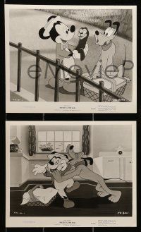 1a780 MICKEY & THE SEAL 5 8x10 stills '48 Walt Disney, great images of Mickey Mouse and Pluto!