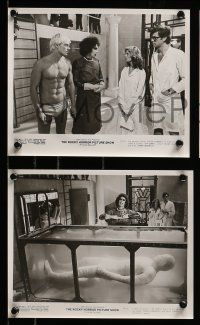 1a838 ROCKY HORROR PICTURE SHOW 4 8x10 stills '75 Sarandon, Bostwick, Quinn, O'Brien, Little Nell!