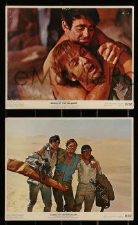 1a020 SANDS OF THE KALAHARI 11 color 8x10 stills '65 Stuart Whitman, Stanley Baker, Susannah York