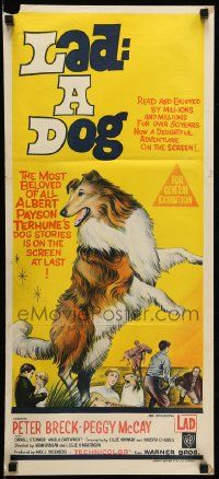 1c868 LAD A DOG Aust daybill '61 wonderful full-length Collie dog artwork!
