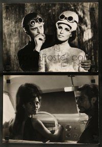 1m317 SHOOT LOUD, LOUDER I DON'T UNDERSTAND 2 deluxe 9.5x13 stills '66 sexy Raquel Welch in both!