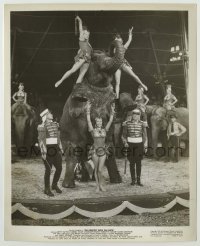 1s399 GREATEST SHOW ON EARTH 8x10 still '52 great image of Betty Hutton performing with elephant!