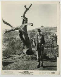 1s726 PSYCHO candid 8.25x10.25 still R65 Anthony Perkins by cross-shaped tree in swamp, Hitchcock!