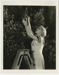 1s883 THELMA TODD 8x10.25 still '30s wonderful close up picking apple from tree by Eldee Hester!