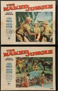 1w914 NAKED JUNGLE 2 LCs '54 romantic close up of Charlton Heston & Eleanor Parker, George Pal