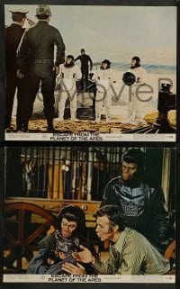 1w636 ESCAPE FROM THE PLANET OF THE APES 4 color 11x14 stills '71 Roddy McDowall, sci-fi sequel!