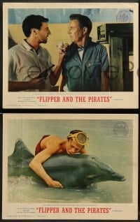 1w151 FLIPPER'S NEW ADVENTURE 8 int'l LCs '64 Flipper and the Pirates is more fin-tastic than ever!