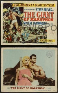 1w169 GIANT OF MARATHON 8 LCs '60 Tourneur & Mario Bava's La Battaglia di Maratona, Steve Reeves!