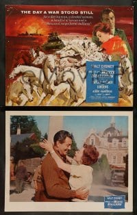 1w018 MIRACLE OF THE WHITE STALLIONS 9 LCs '63 Walt Disney, Robert Taylor, Lipizzaners!