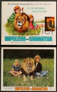 1w019 NAPOLEON & SAMANTHA 9 LCs '72 Michael Douglas, Jodie Foster & Johnny Whitaker & lion!