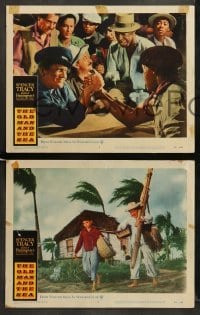 1w596 OLD MAN & THE SEA 5 LCs '58 great images of Spencer Tracy in Hemingway's classic!