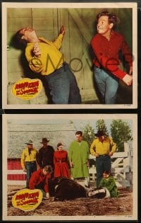 1w680 RODEO KING & THE SENORITA 4 LCs '51 Arizona Cowboy Rex Allen & Miracle Horse Koko!