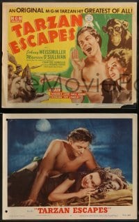 1w412 TARZAN ESCAPES 8 LCs R54 Johnny Weissmuller in the title role, Maureen O'Sullivan!