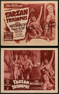 1w417 TARZAN TRIUMPHS 8 LCs R49 cool images of Johnny Weissmuller & sexy Frances Gifford as Zandra!