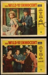 1w699 WILD & THE INNOCENT 4 LCs '59 Audie Murphy wants to kill a man, drink & kiss fancy women!