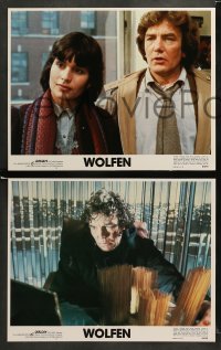 1w478 WOLFEN 8 LCs '81 Albert Finney, Gregory Hines, Diane Venora, werewolf horror!