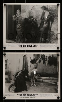 1x852 BIG BUST-OUT 3 8x10 stills '73 Vonetta McGee, locked in a cage of wild desire!
