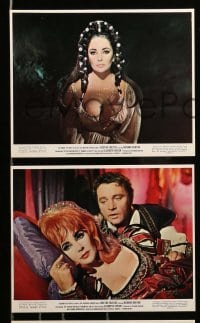 1x042 DOCTOR FAUSTUS 8 color 8x10 stills '68 Elizabeth Taylor, director & star Richard Burton!