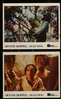 1x005 MAD DOG 12 color 8x10 stills '76 directed by Philippe Mora, Dennis Hopper!