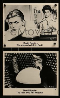1x887 MAN WHO FELL TO EARTH 3 8x10 stills '76 alien David Bowie, Candy Clark, Rip Torn, Roeg!