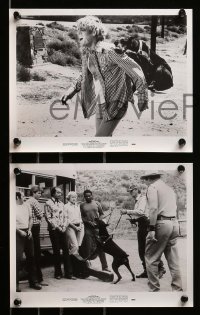 1x644 MEAN DOG BLUES 6 8x10 stills '78 Gregg Henry escapes from prison & dog catches him!