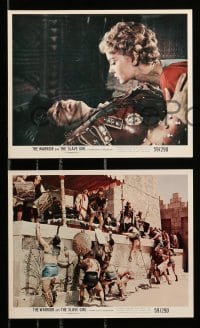 1x131 WARRIOR & THE SLAVE GIRL 5 color 8x10 stills '59 Gianna Maria Canale, mightiest Italian epic!