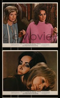 1x017 X Y & ZEE 10 color 8x10 stills '71 Elizabeth Taylor, Michael Caine, Susannah York