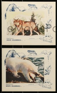 1x092 WHITE WILDERNESS 8 color English FOH LCs '58 Disney, cool art arctic animals on top of world!
