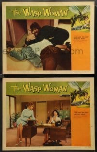 1y172 WASP WOMAN 2 LCs '59 includes a great scene of the female insect-headed monster attacking!