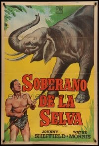 2c288 LORD OF THE JUNGLE Argentinean '55 art of Sheffield as Bomba the Jungle Boy with elephant!