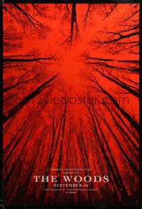 2g536 BLAIR WITCH teaser DS 1sh '16 there is something evil hiding in The Woods, wacky fake title!