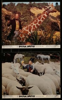 2h208 DOCTOR DOLITTLE 3 color 8x10 stills R69 great images of Rex Harrison who speaks with animals!