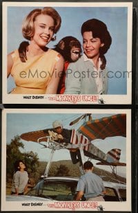 2k879 MONKEY'S UNCLE 2 LCs '65 Walt Disney, Annette Funnicello, Yvette Mimieux & Tommy Kirk!