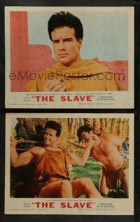 2k948 SLAVE 2 LCs '63 Steve Reeves as the son of Spartacus, directed by Sergio Corbucci!